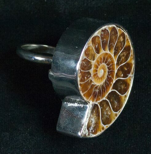 Ring Featuring Cut And Polished Ammonite Fossil #5099